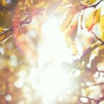 恋愛や先生を探す時に見るべきポイント