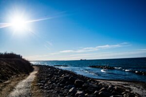 成功を止めている「洗脳」を取り除く方法