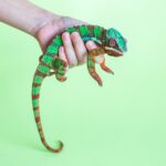 仕事が日々変わる人からは買わないほうがいい理由