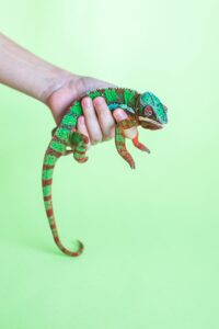 仕事が日々変わる人からは買わないほうがいい理由