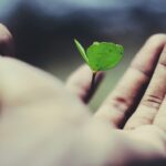 お金が無限にあったら何をして暮らしたいか?